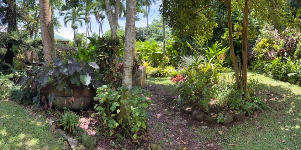 Lovely 1-bedroom wooden cabin in garden Cabin in Saint George
