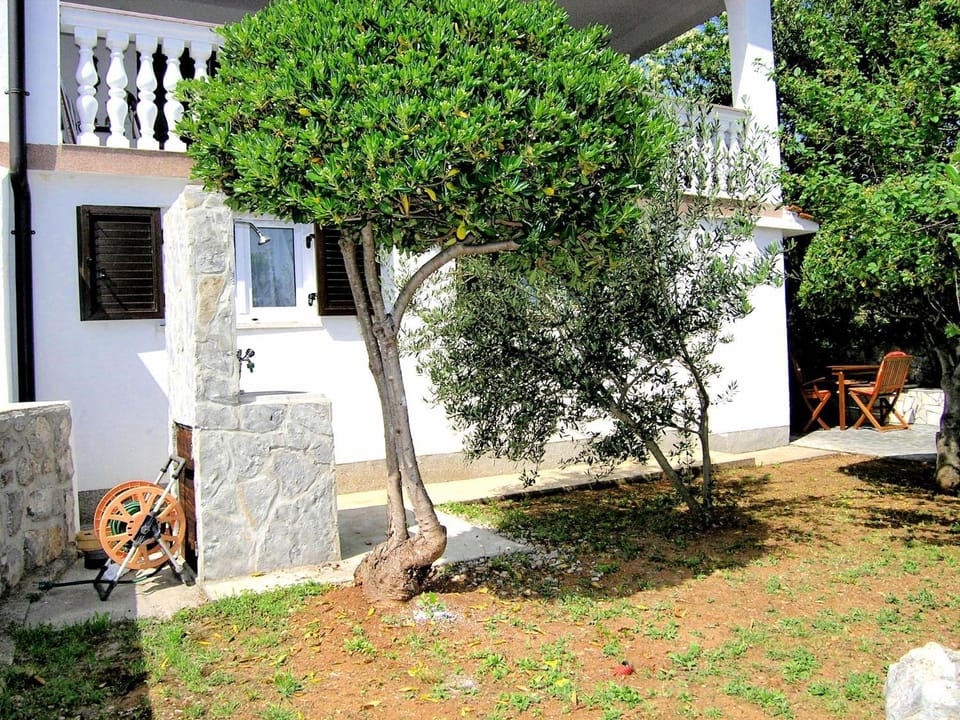 Property building, Patio, Garden, Balcony/Terrace