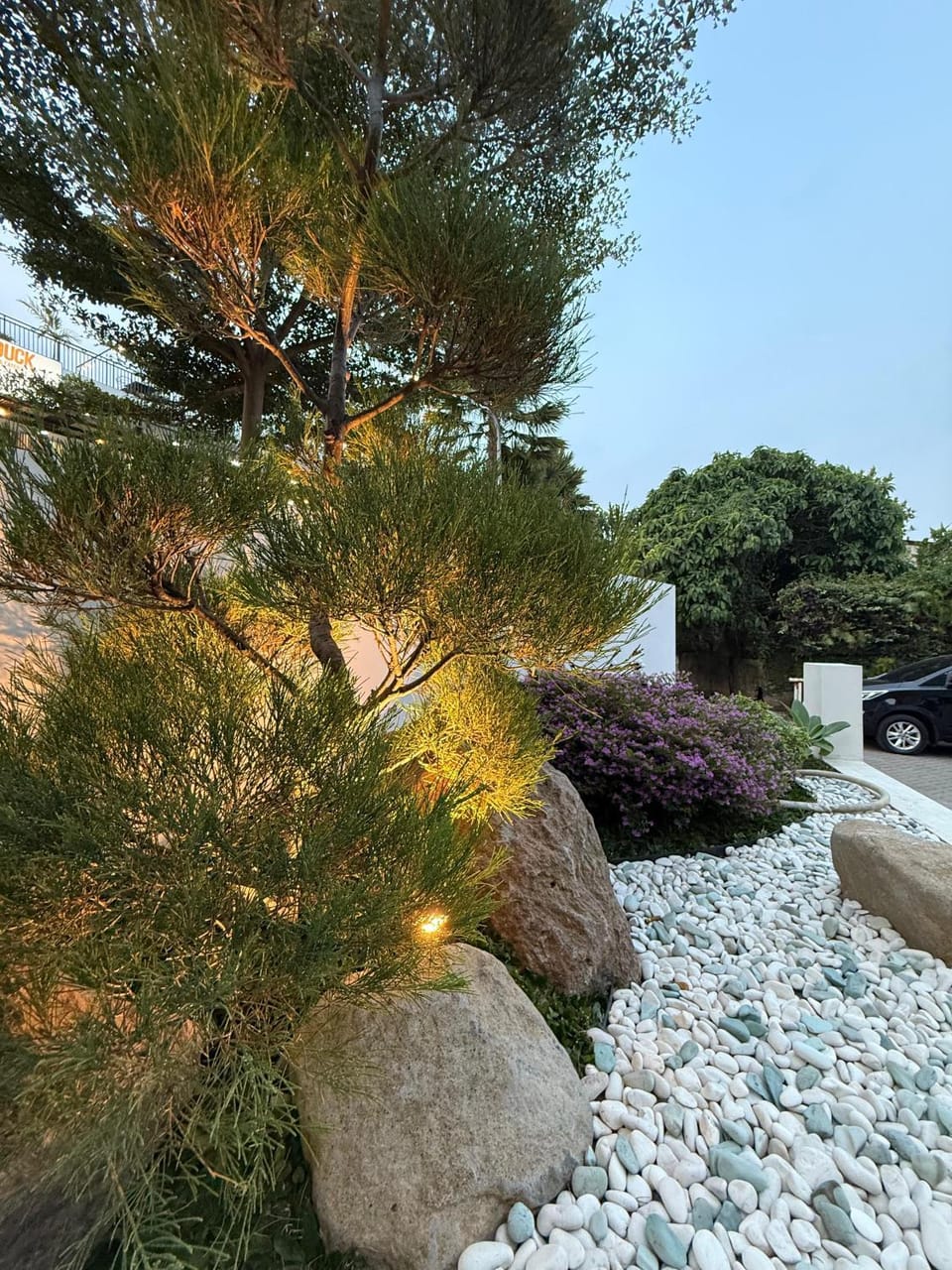 Garden view