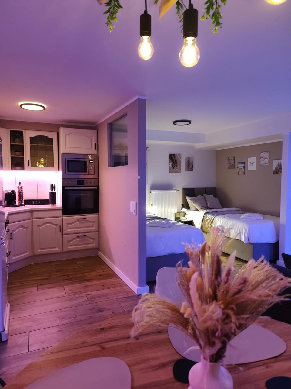 Bed, Kitchen or kitchenette, Photo of the whole room, Bedroom, oven, stove