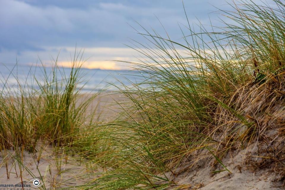Natural landscape