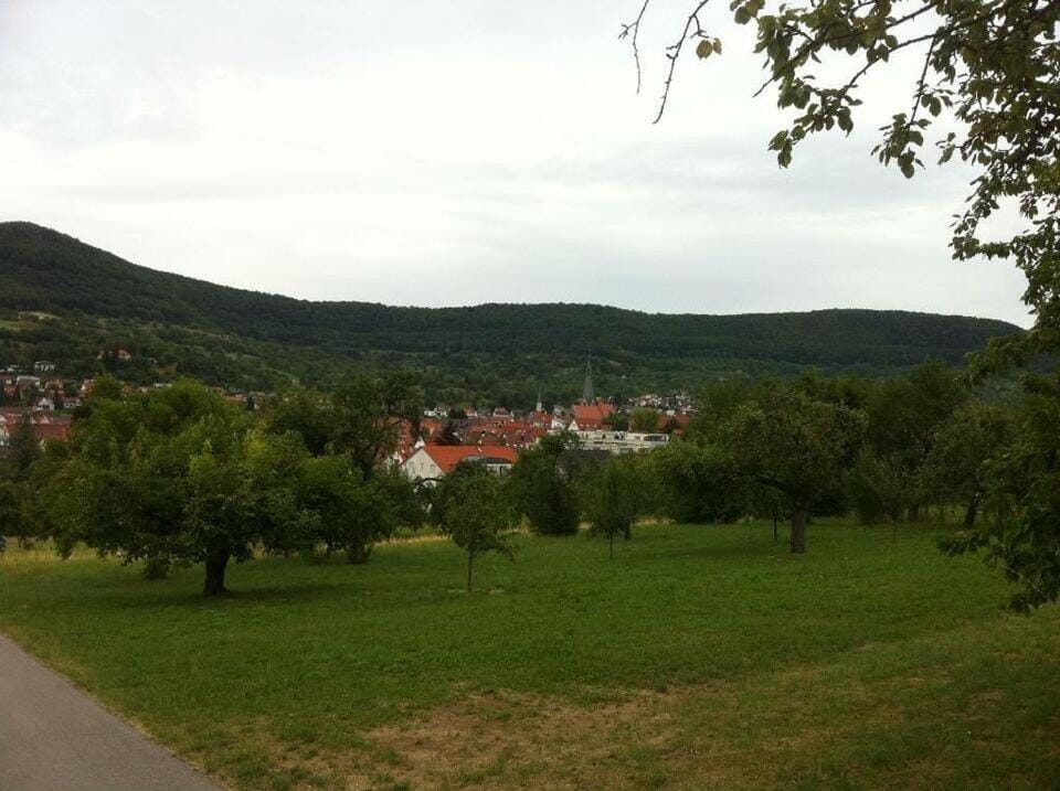 Nearby landmark, Natural landscape