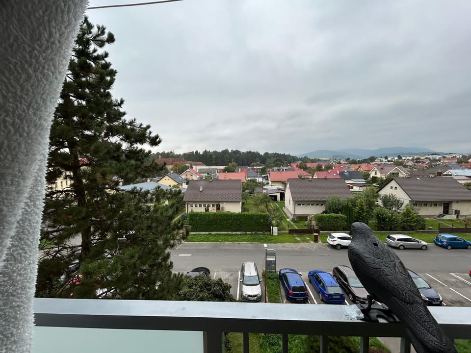 Neighbourhood, View (from property/room), Balcony/Terrace, Street view, Parking
