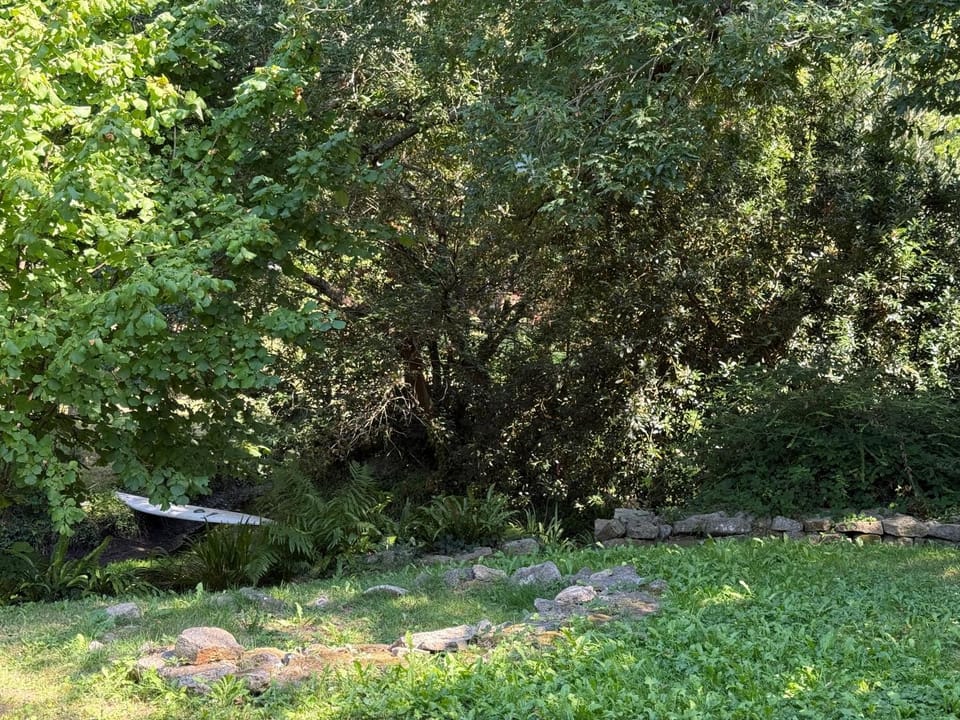 Natural landscape, Garden, Garden view