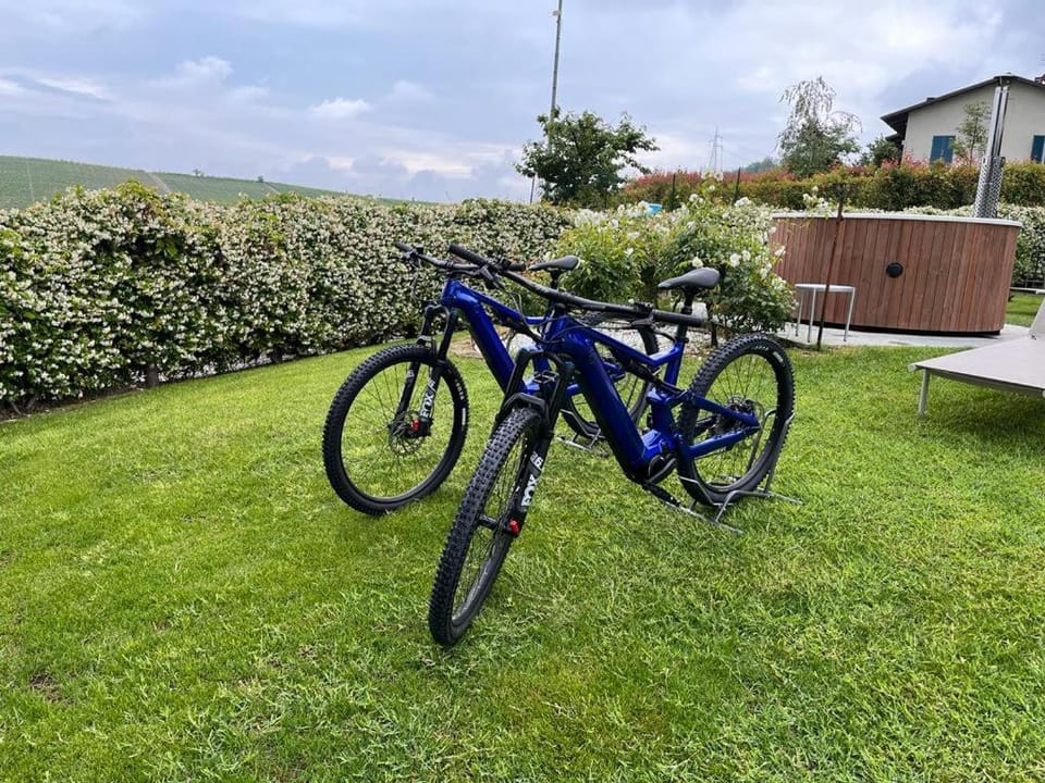 Villa Laura Farm Stay in Piedmont