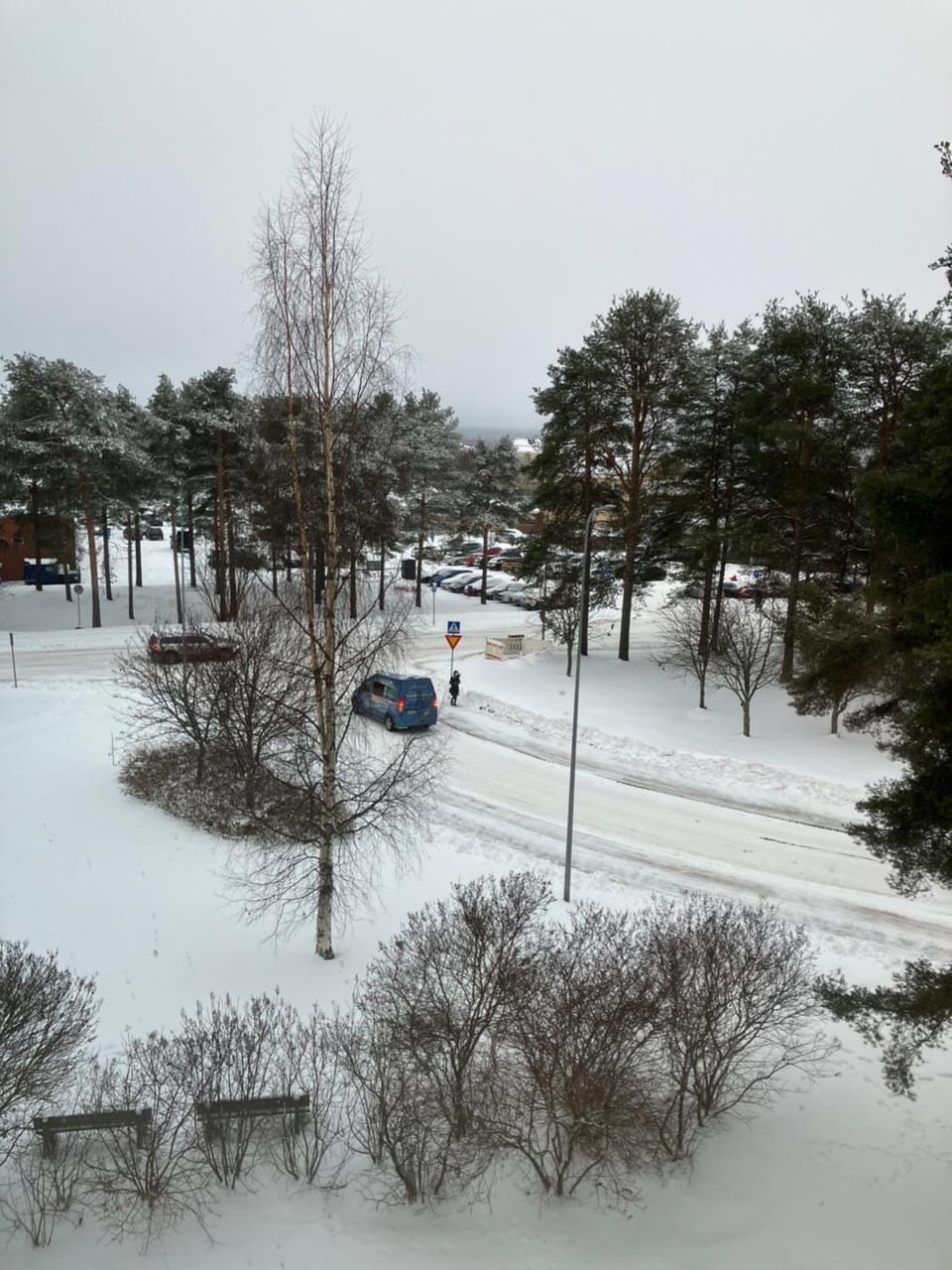 Natural landscape, Winter