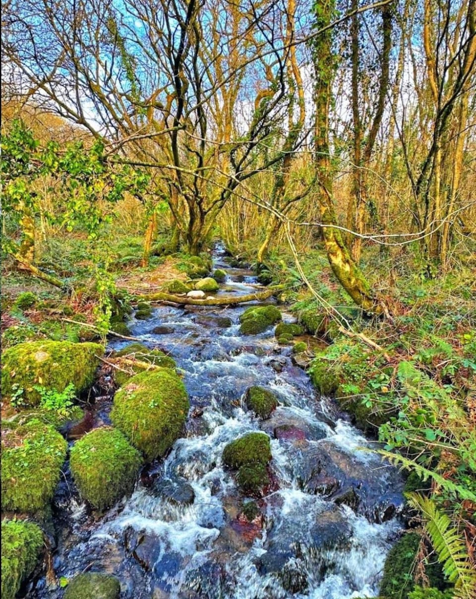 Natural landscape