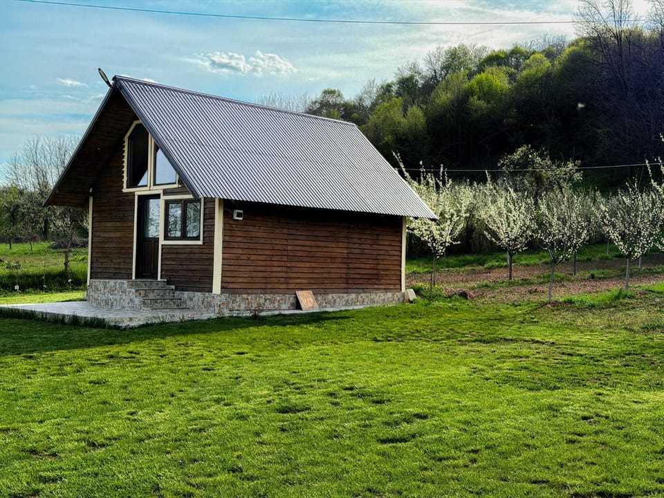 Livada Bunicilor House in Romania