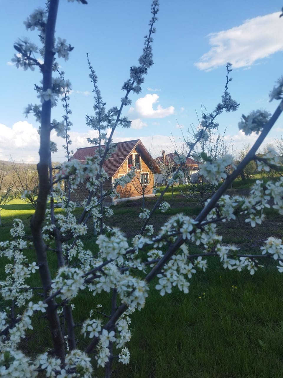 Livada Bunicilor House in Romania
