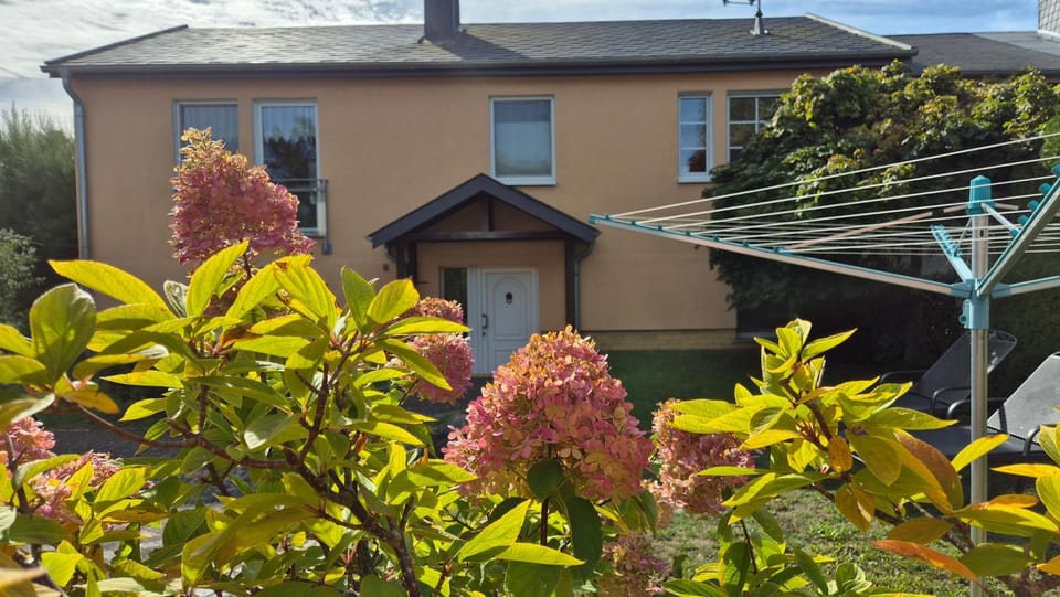 Property building, Garden, Garden view