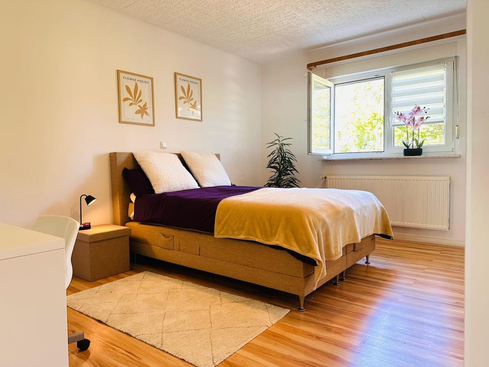 Bed, Photo of the whole room, Bedroom