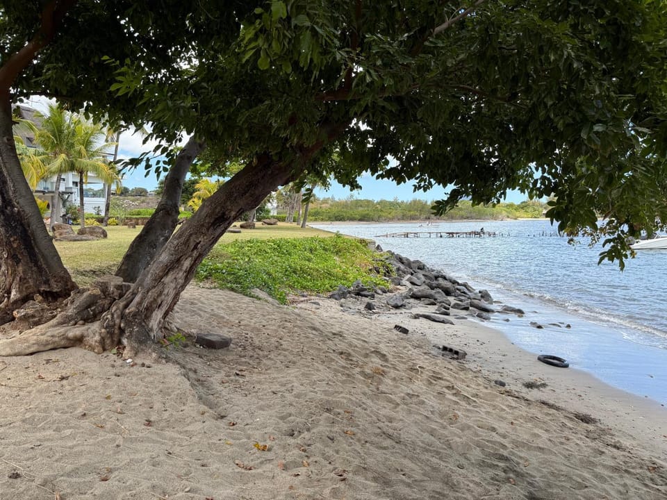 Beach, On site