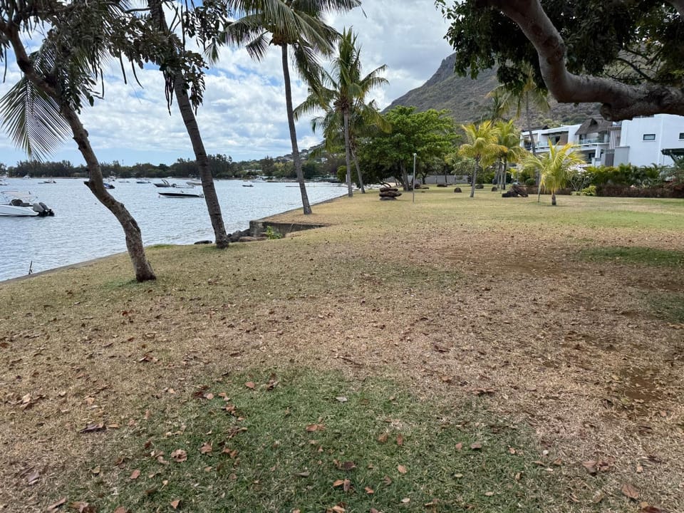 Garden, Beach