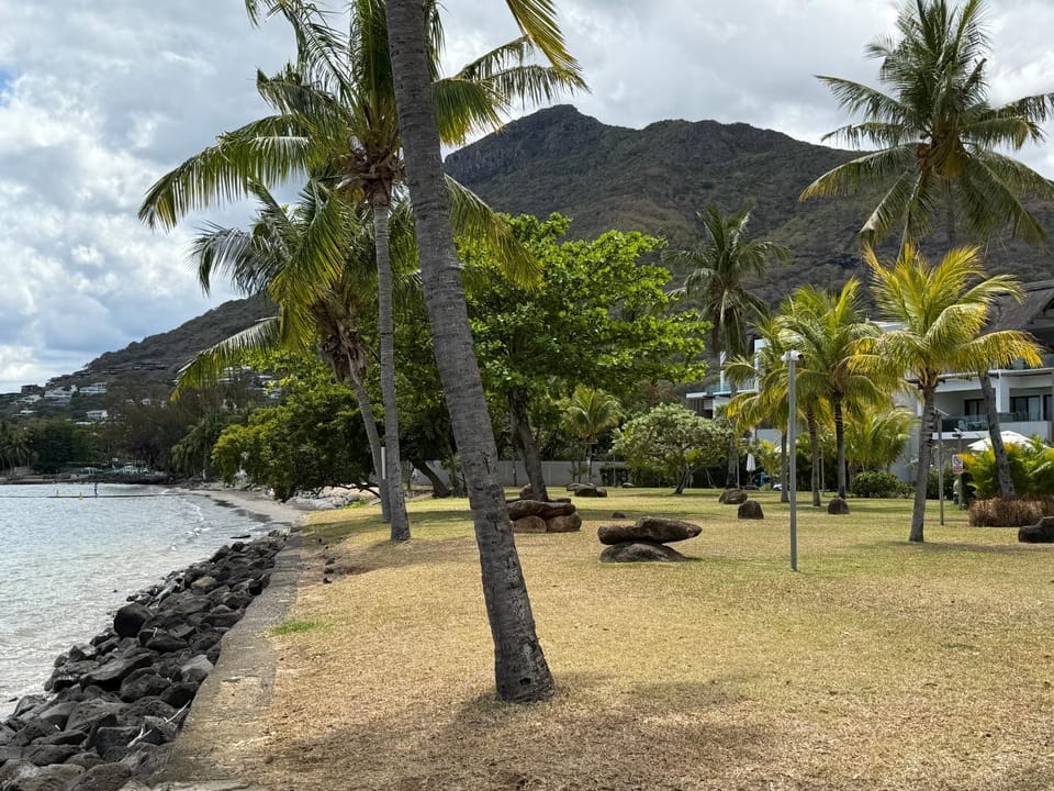 Natural landscape, Garden, Beach, Sea view