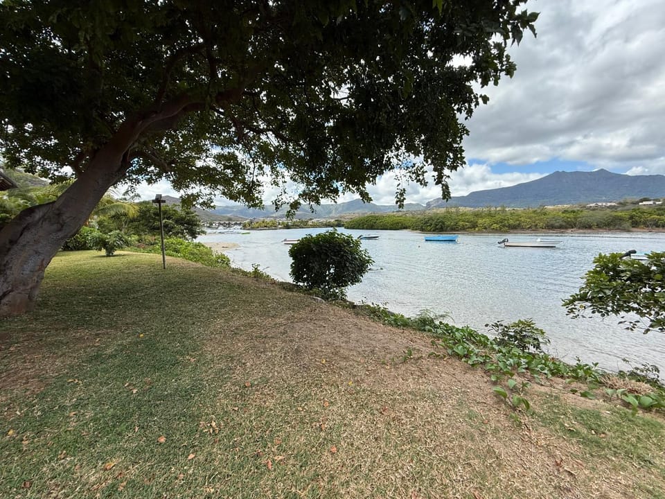 Garden, River view