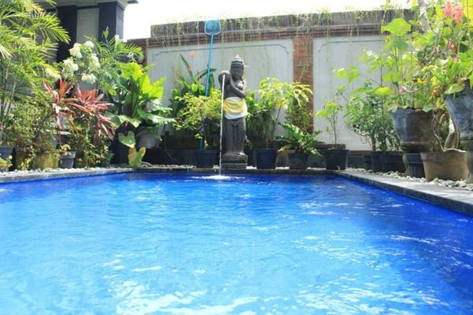 Swimming pool, Swimming pool