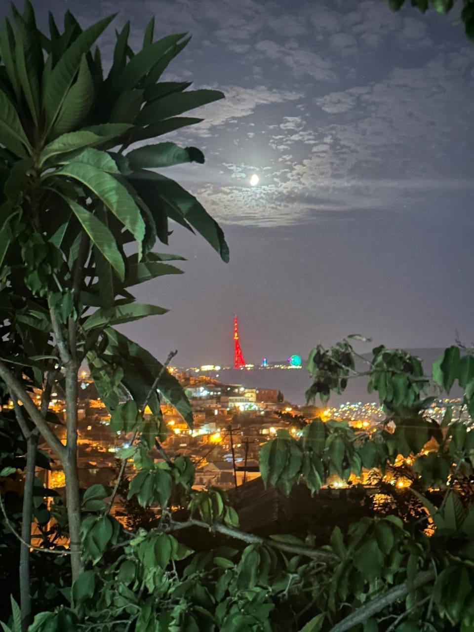 City view