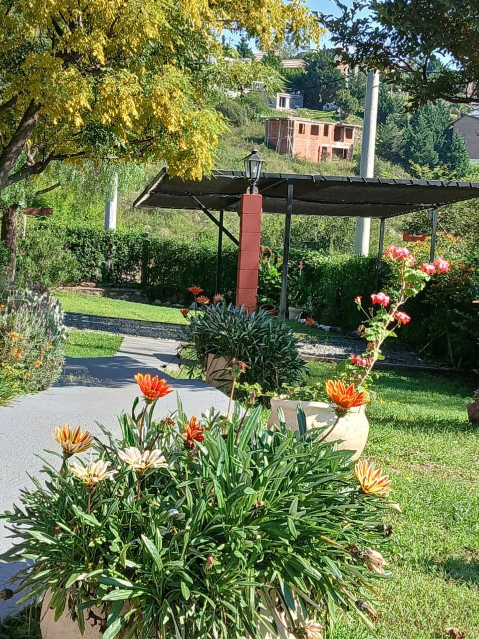 Natural landscape, Garden, Parking