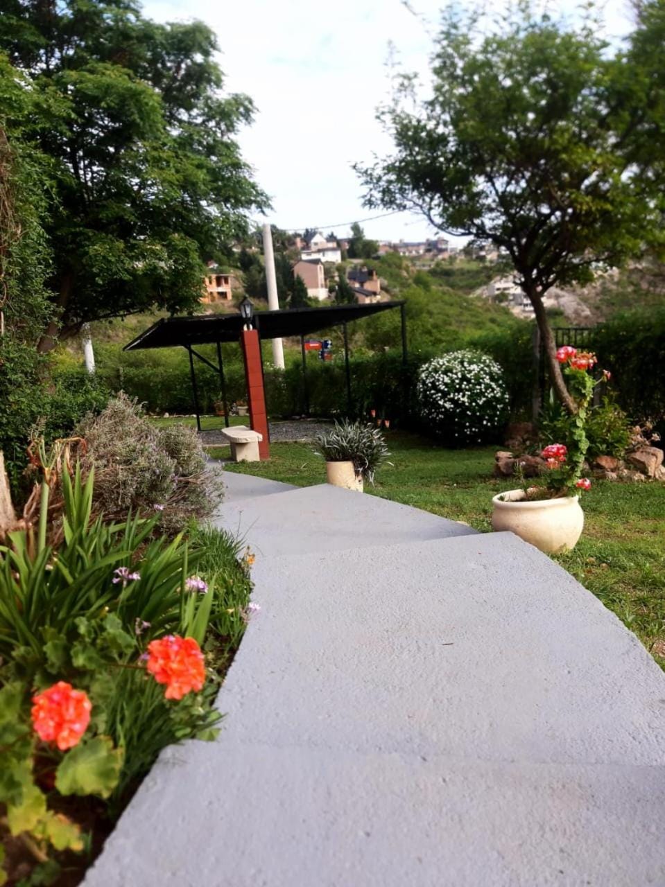Garden view