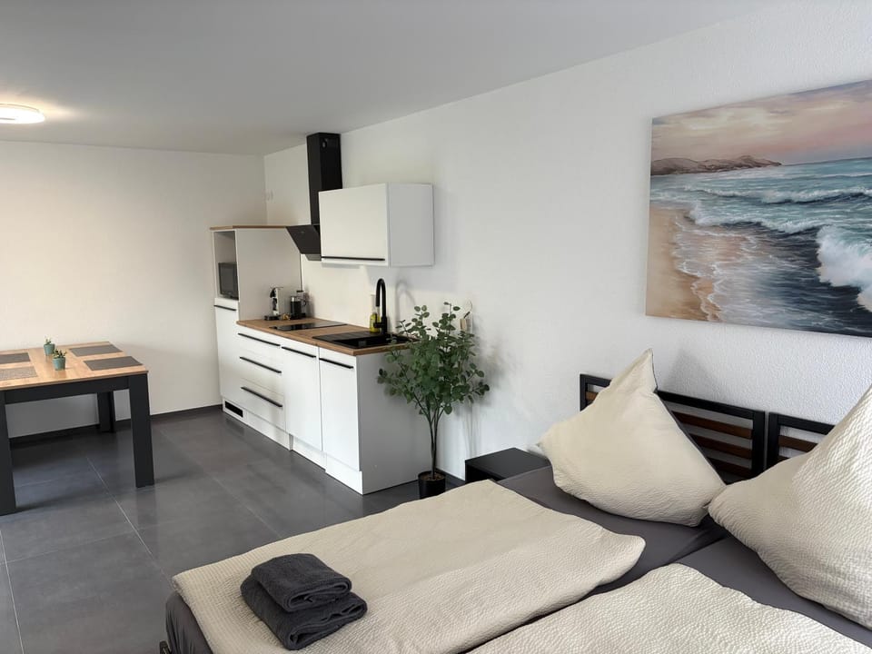 Bed, Kitchen or kitchenette, Living room, Photo of the whole room, Seating area, Dining area, Bedroom, stove