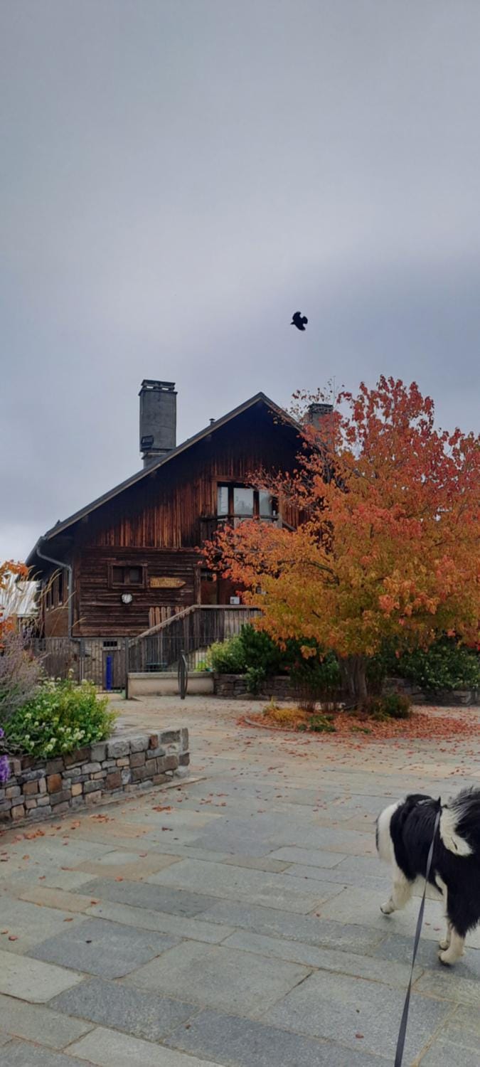 AP-37 La Grande Cordée Combloux Apartment in Combloux