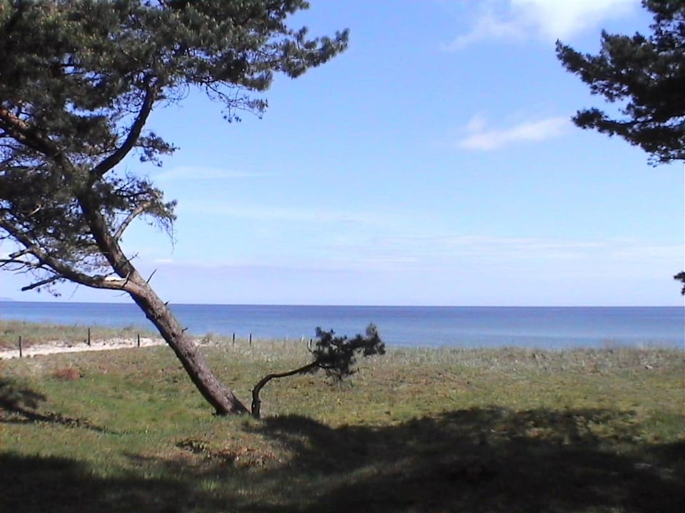 Natural landscape, Beach, Sea view