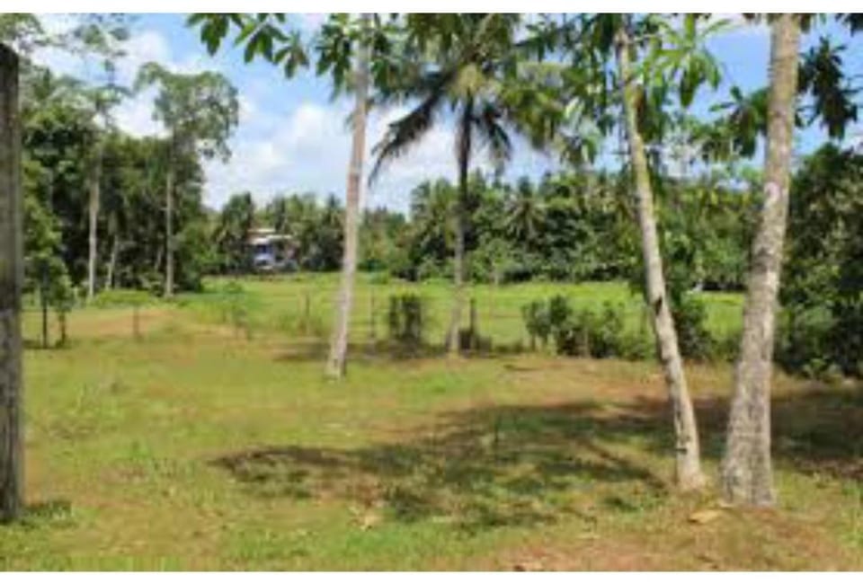 Marawila House in Sri Lanka