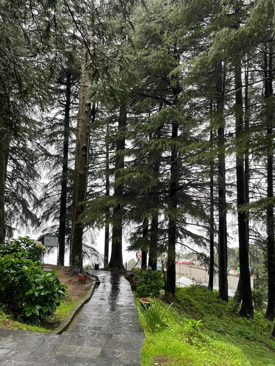 Nearby landmark, Day, Neighbourhood