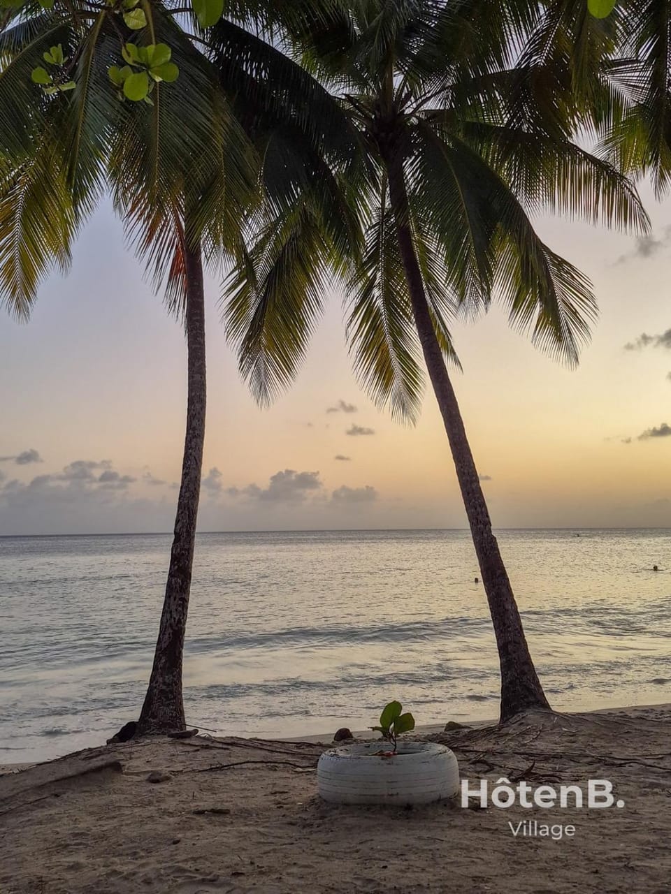 Natural landscape, Beach, Sunset