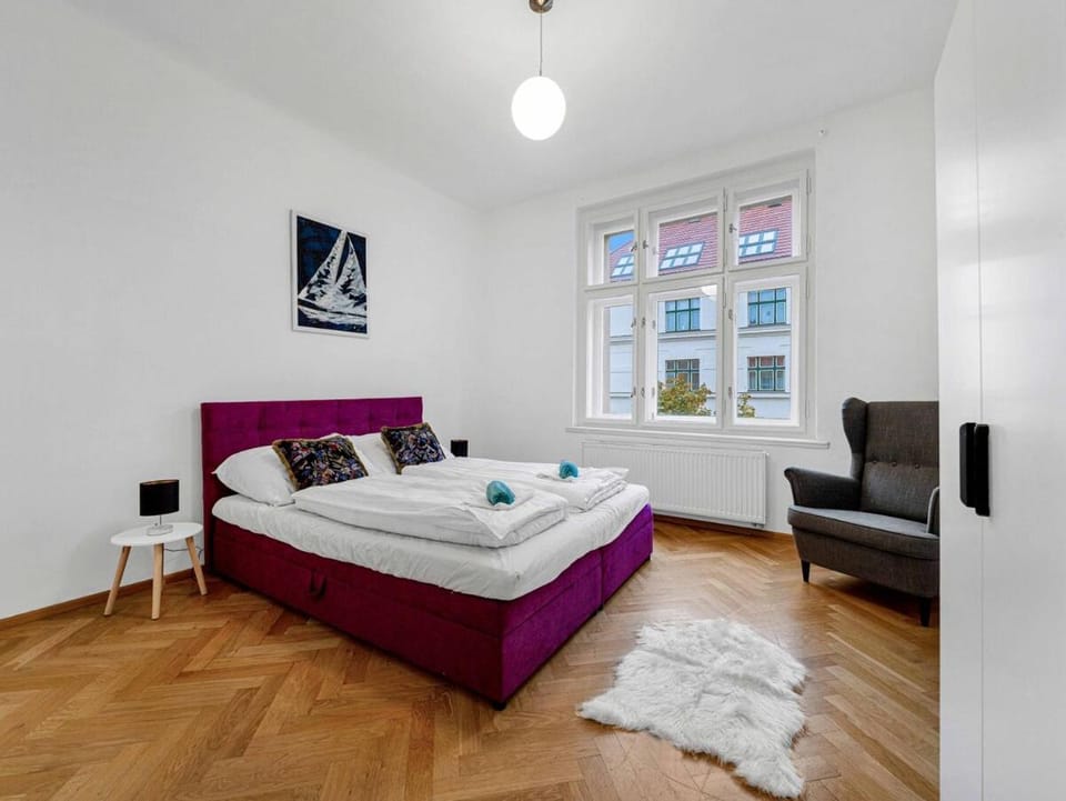 Spacious & Modern Apartment by Wenceslas Square Apartment in Prague