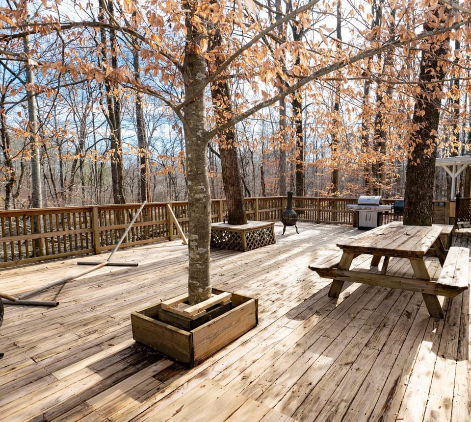 371 Mountain Hill Rd Fortson House in Alabama