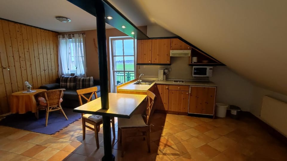 Kitchen or kitchenette, Living room, Seating area, Dining area, stove