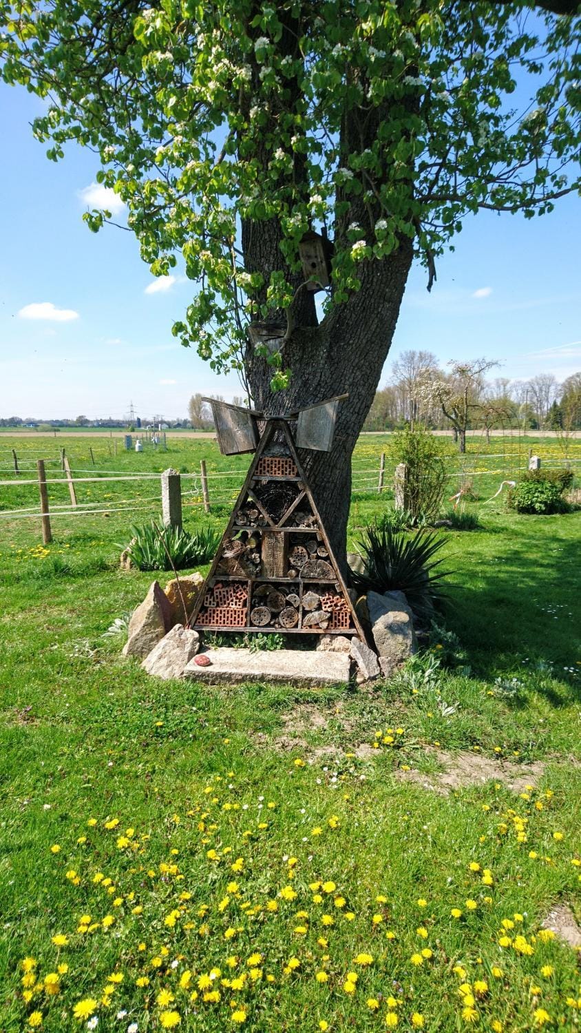 Natural landscape, Garden