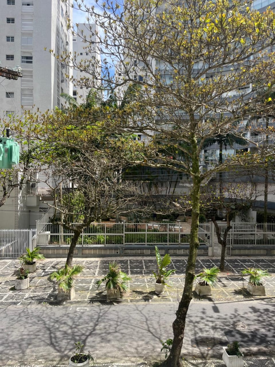 Garden view