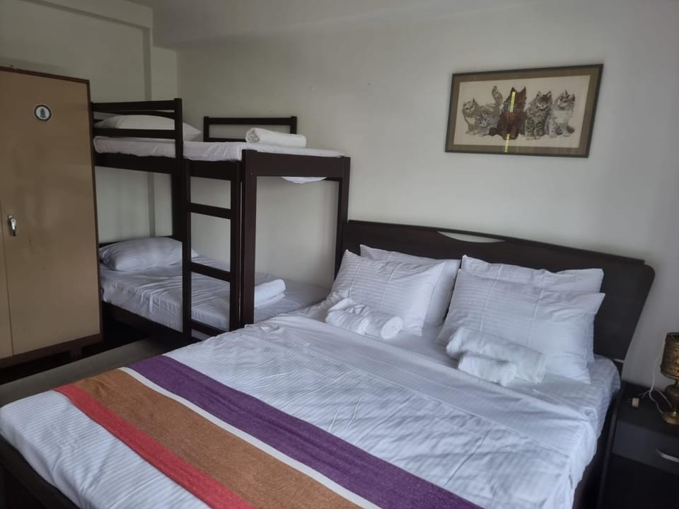 Bed, Photo of the whole room, Bedroom, bunk bed