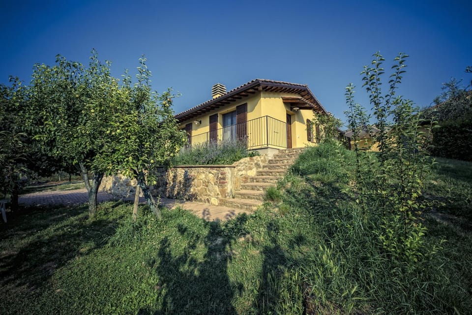 Facade/entrance, Garden