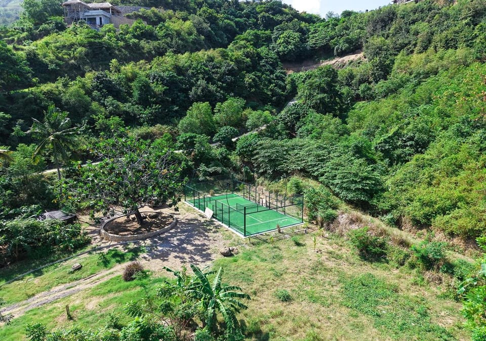 Garden, Tennis court, Garden view