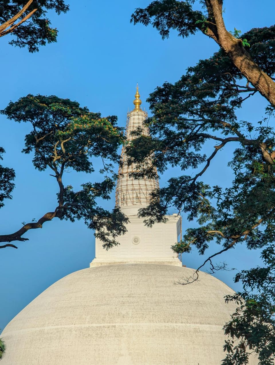 Landmark view