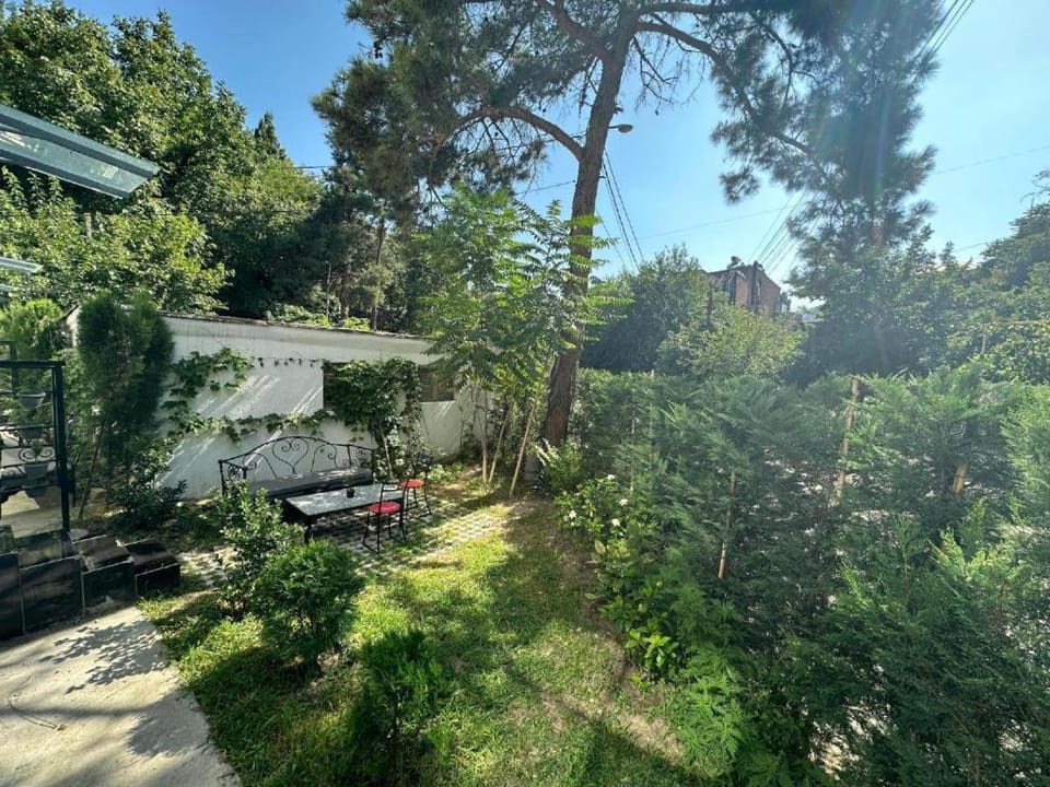 Patio, Spring, Day, Natural landscape, Garden, Garden view