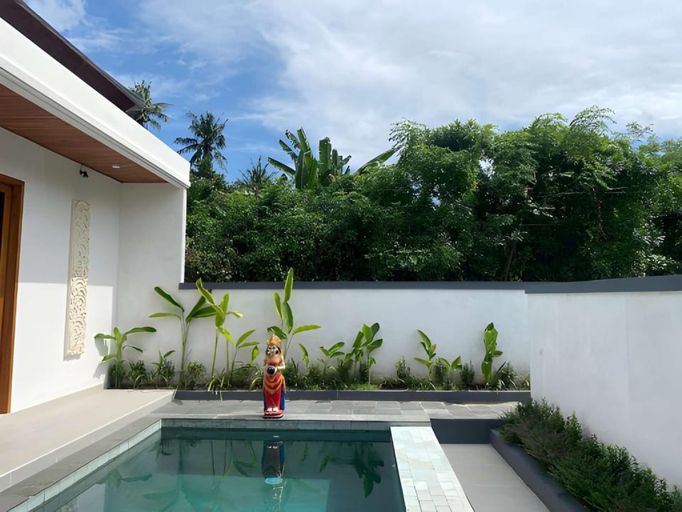 Swimming pool, Swimming pool