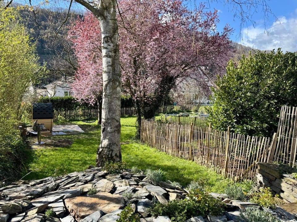 Garden Eden & Sauna House in Rhineland-Palatinate