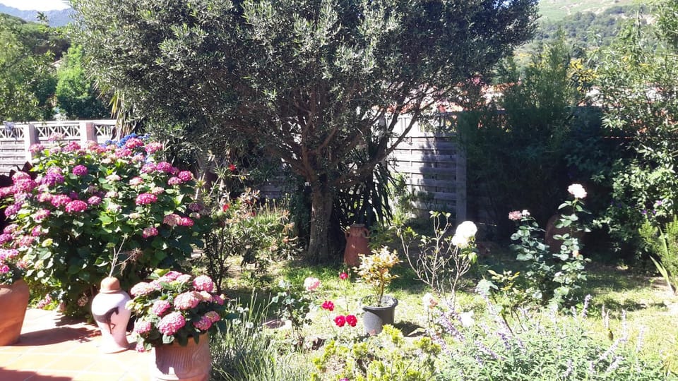Day, Garden