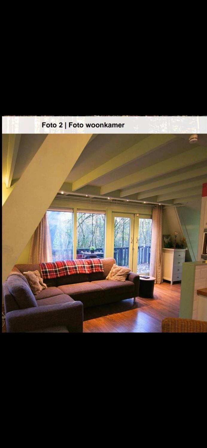 Bois d' Paix Chalet in Wallonia, Belgium