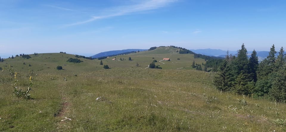 Hiking