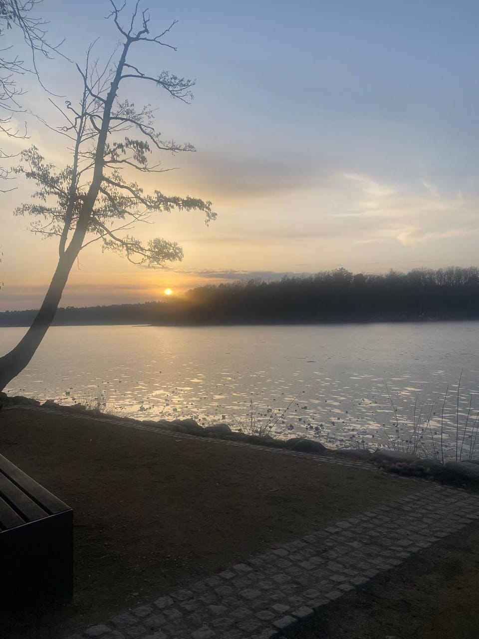 Lake view