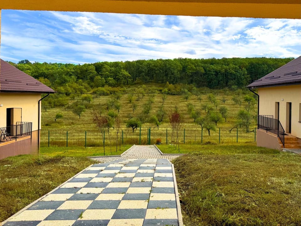 Natural landscape, Garden, Garden view