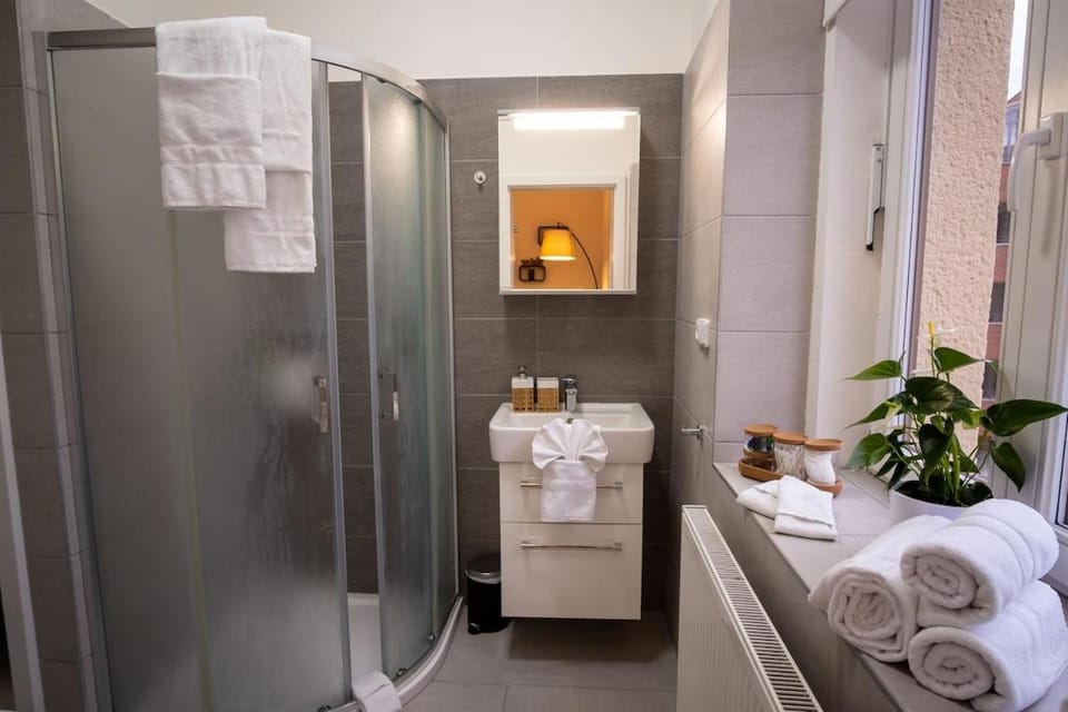 Cozy flat in center - Pekarska street Apartment in Brno