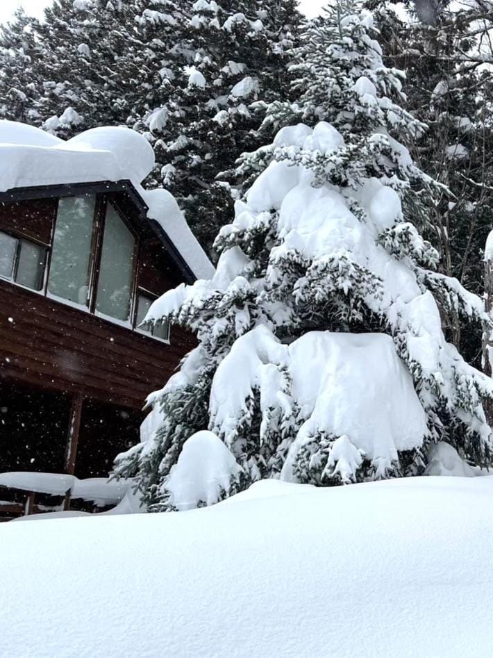 Property building, Winter