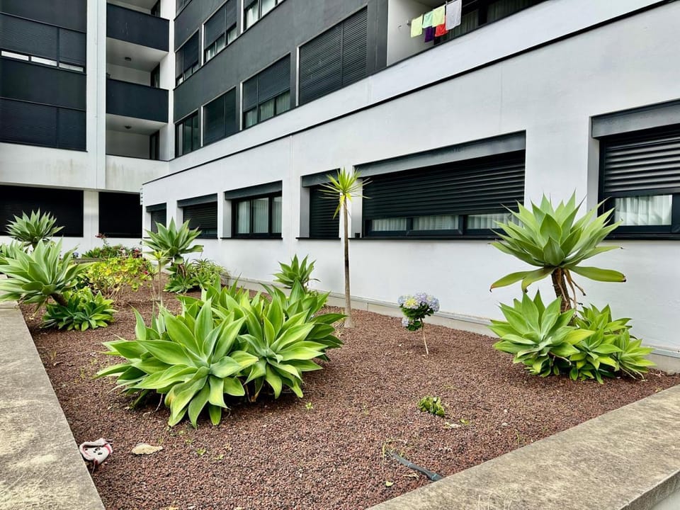 Property building, Garden, Garden view