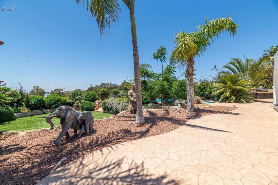 Patio, Garden, Garden view
